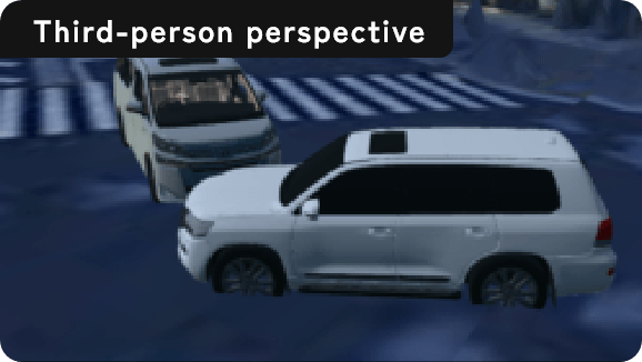 Third-person perspective